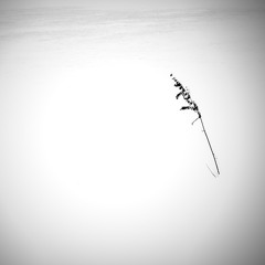 Cold Cold Heart