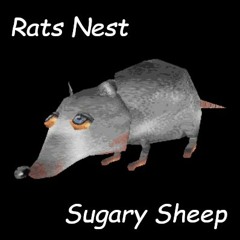 Rats Nest