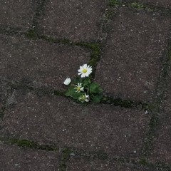 백예린 지켜줄게 (cover)