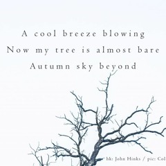 A Cool Breeze Blowing (naviarhaiku415)