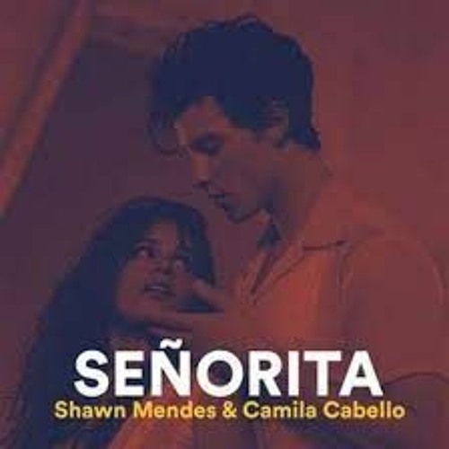 Shawn Mendes Seronita Bootleg