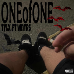 ONEofONE - ft. wntrs