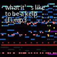 what it’s like to be a kelp (1).mp3