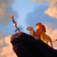 Circle Of Life Altos