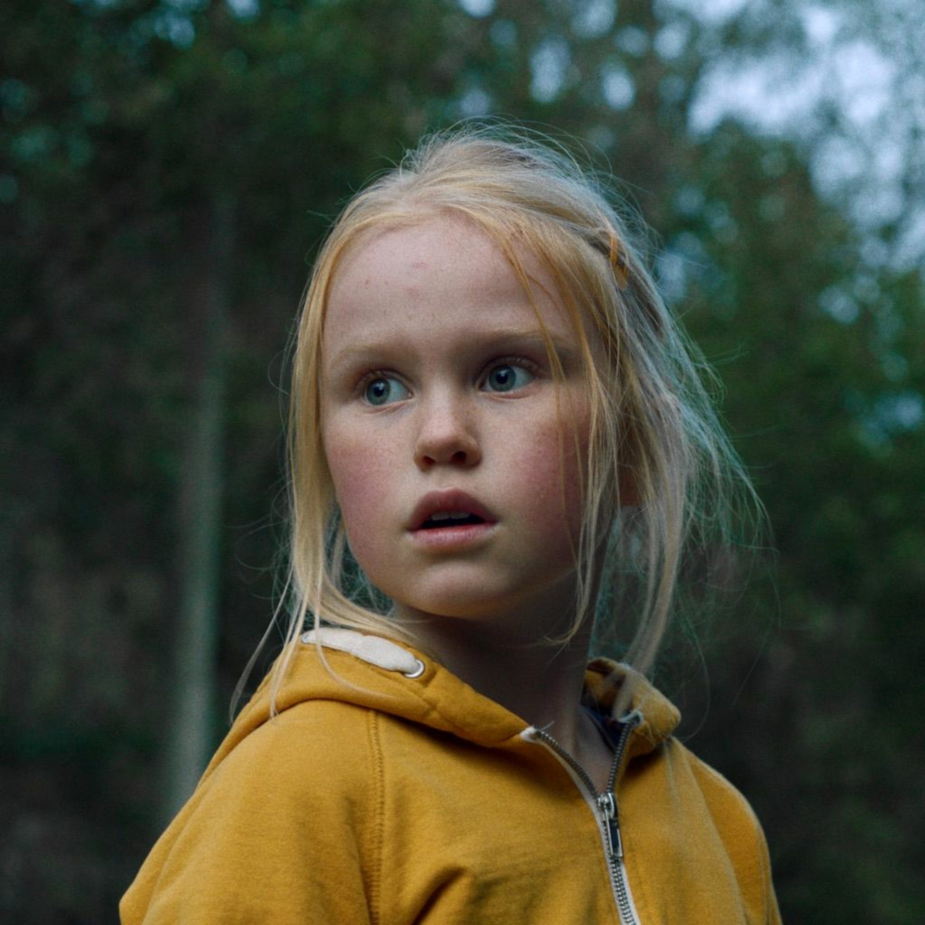 Filmsamtalen