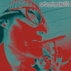 Sorta Spring Video Tracklist