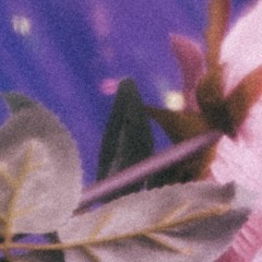 Fall Interlude (Prod. Skybxrn)