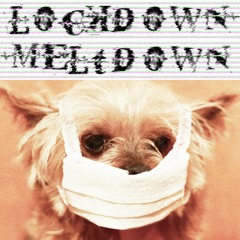 Lockdown Meltdown (2020)