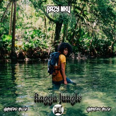 Ragga Jungle || nkv entertainment