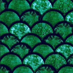 Lady of Fire - Like Rain (evol mix)