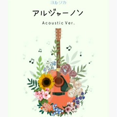 ヨルシカ / アルジャーノン Acoustic ver. by Iffa D