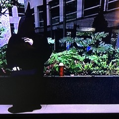 Promweather - Bury Them Bones