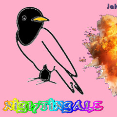 Nightingale (prod Wuden)