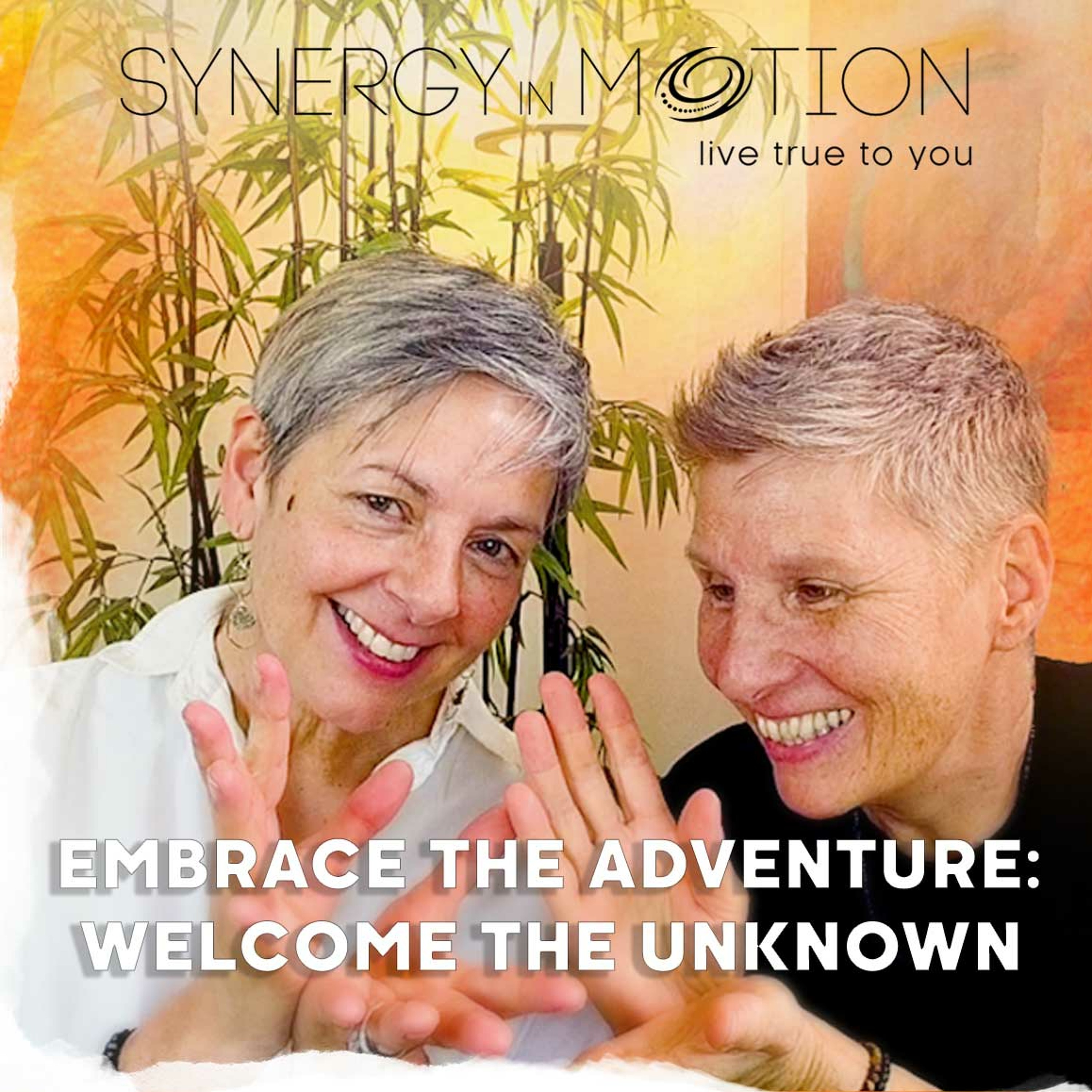 Embrace The Adventure ~ Welcome The Unknown ~ Hexagram 3 episode artwork