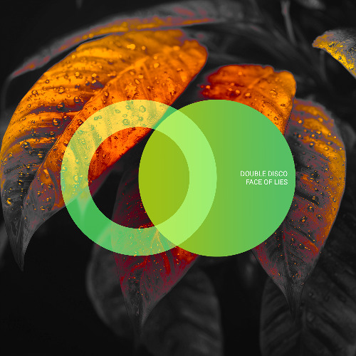 Double Disco - Without You (Original Mix)