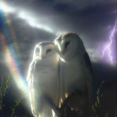 Drunk Freestyle (im still drunk lol)