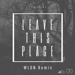 Cymatics - Leave this place (WLDN Remix)