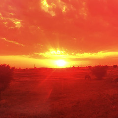 ‎⁨شكرگزارى / رضوان ⁩