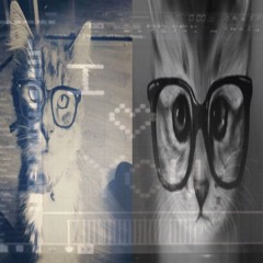 мой мир + расим кот (chop)