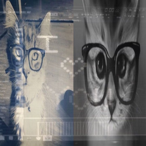 мой мир + расим кот (chop)