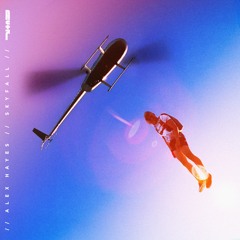 Alex Hayes - Skyfall (Extended Mix)