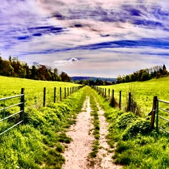 Fields