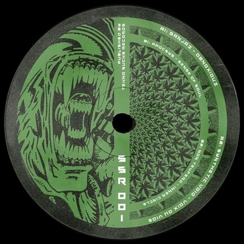 Synthetic Void - Voix du Vide [SSR-001]