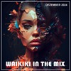 Waikiki in the Mix Dezember 2024 DJ mix artwork - Electronic music tracklist cover image