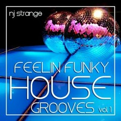"Feelin Funky" House Grooves Vol1