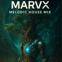 Melodic House Mix 11