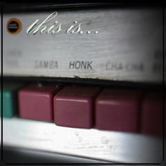 Universal Constructors - This Is Honk