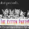 Descargar video: The Kitten Party!