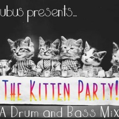 The Kitten Party!