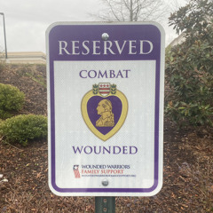 The Transit10n (The Saved)