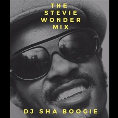 THE STEVIE WONDER MIX