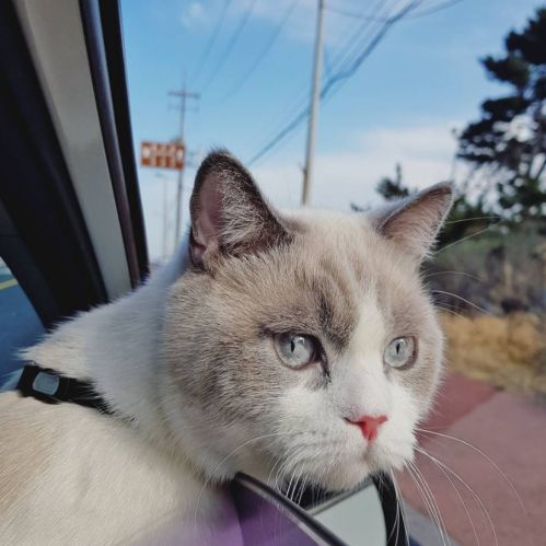 여!름! 너!무! 더!워! 에!어!컨!을! 틀!어!