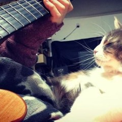 Shoegaze, dreampop & psych playlist #233*