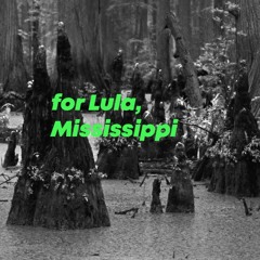 Arjuna Neuman – For Lula, Mississippi: mix 1