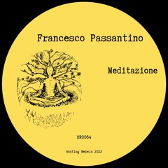 Francesco Passantino - Meditazione