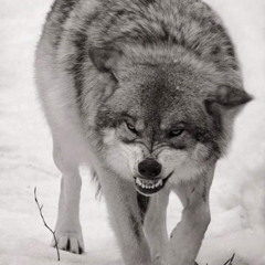 i'll die in this depression