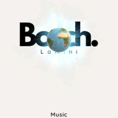 Bosch lamini-feeling low.mp3
