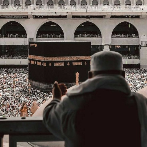 تلاوة مُطمئنة من سورة إبراهيم ..