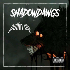 PULLIN UP ft. SHADOWDAWGS