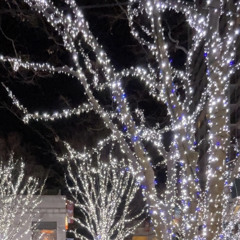 u aint gotta prove it 2 me/~~~