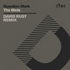 Question Mark, David Rust - The Birds (David Rust Extended Remix - D1)