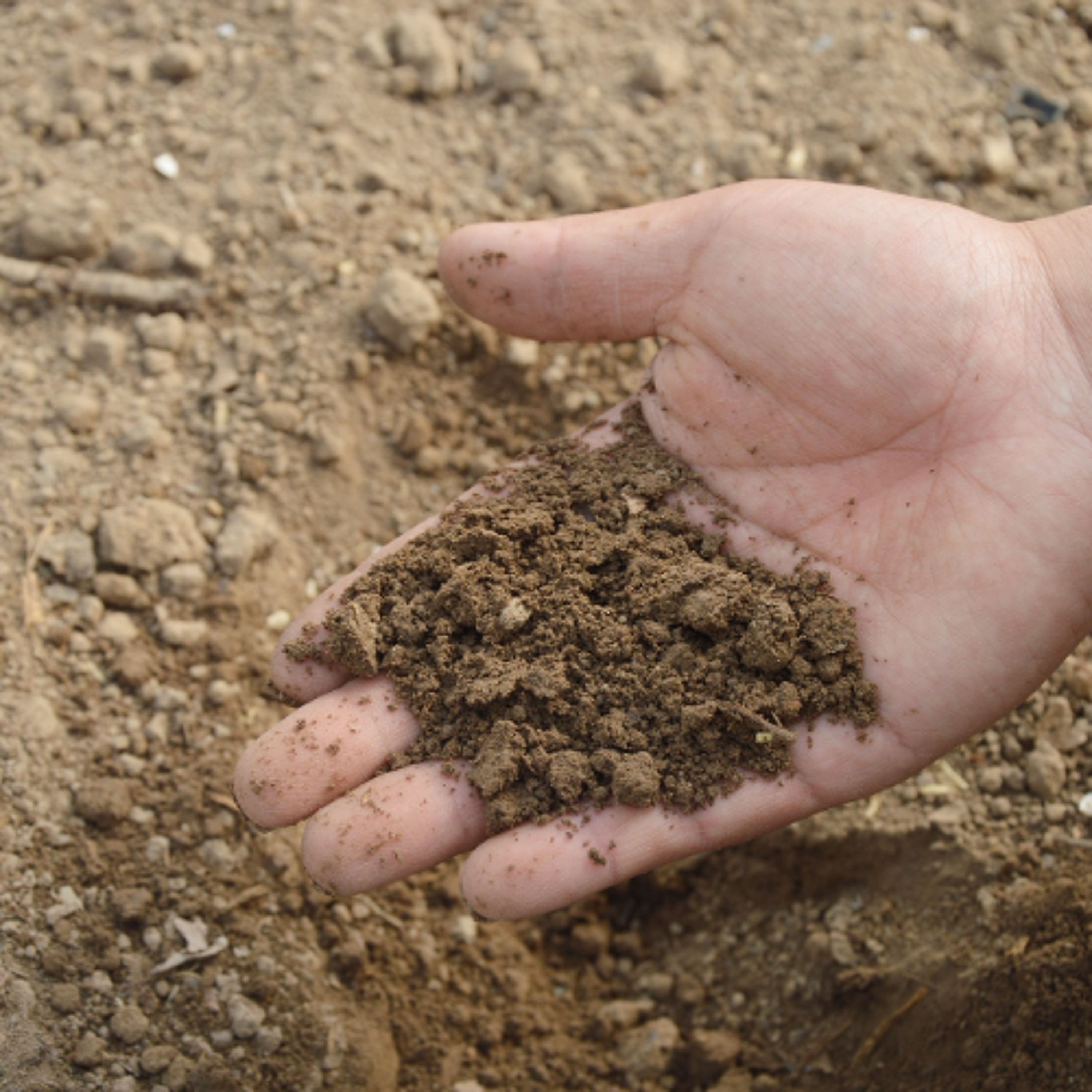Critical Ground: New Report looks at the State of Soil Health in Canada episode artwork