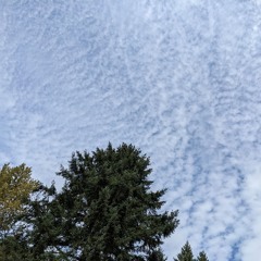 Jim Thompson + m50 @ etc 2025.09.26