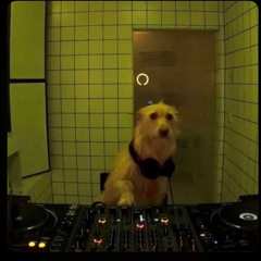 off the rip mix 2 (techno-peak drive/hard)