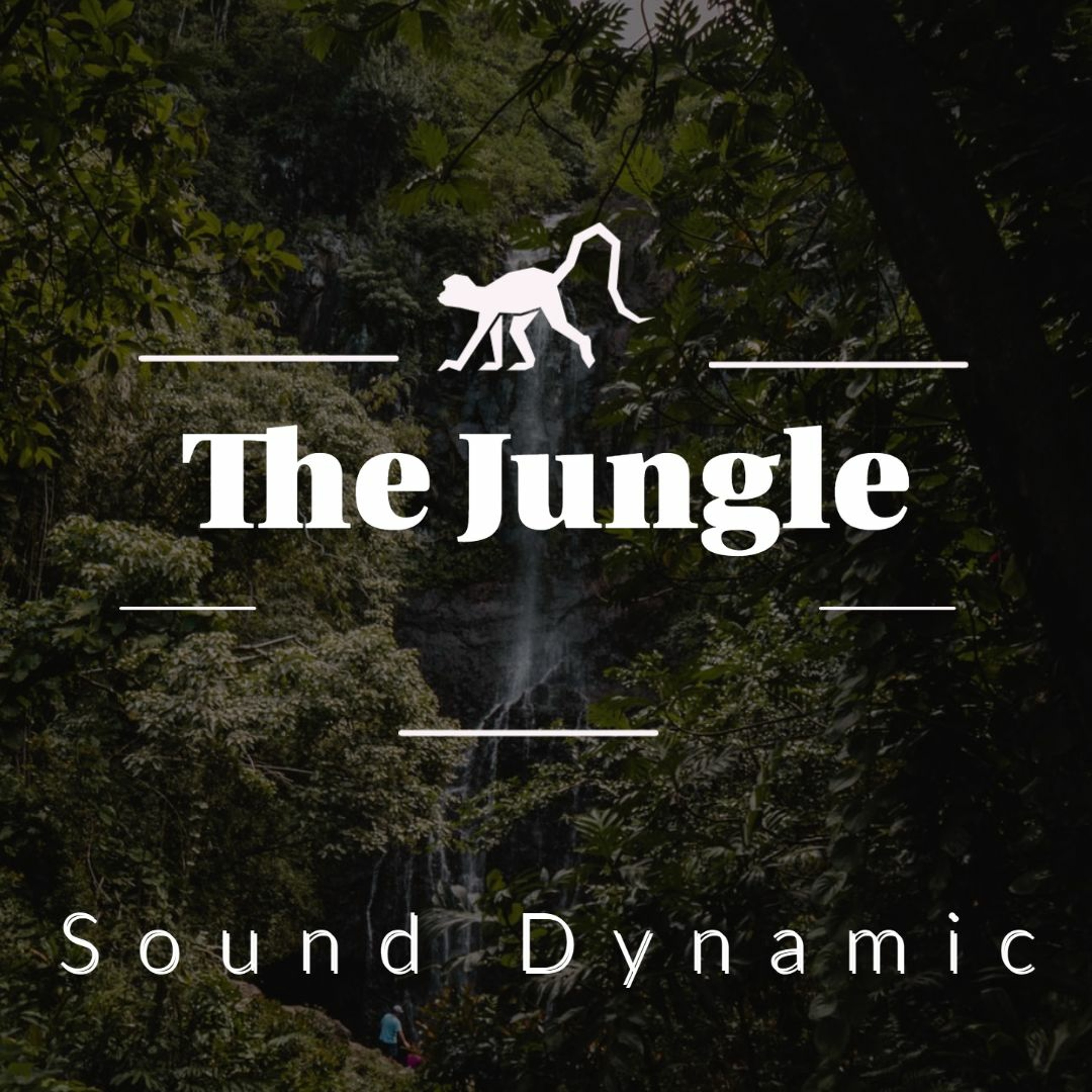 The Jungle thumbnail