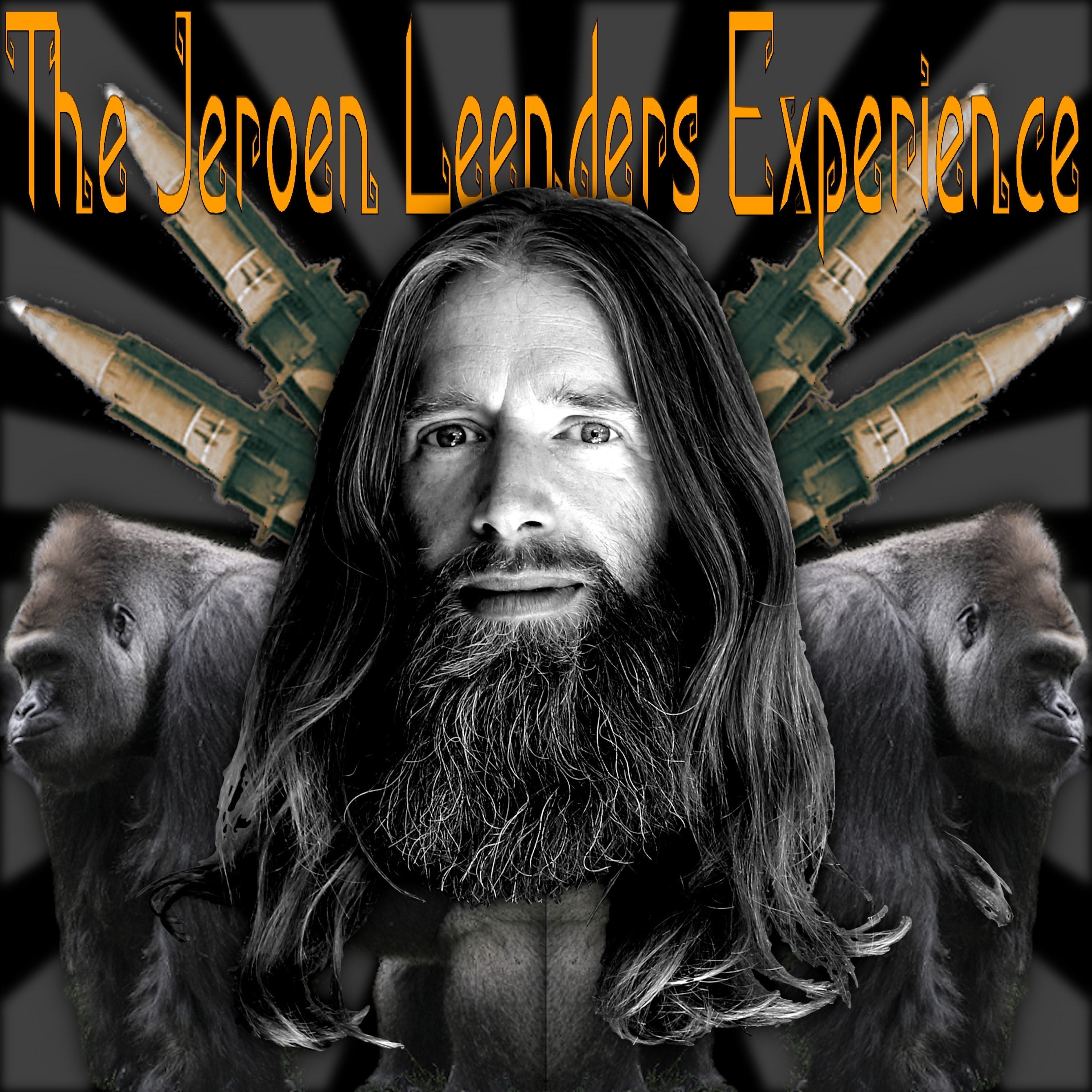Jeroen Leenders Experience